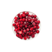 Rare Food Shop Frozen Fruits Frozen Cranberries 500G