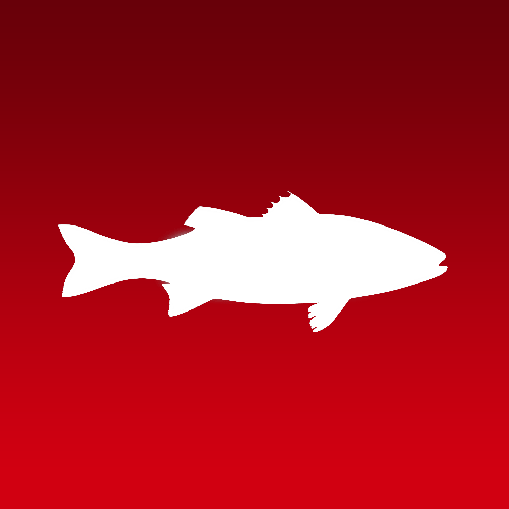 SEAFOOD