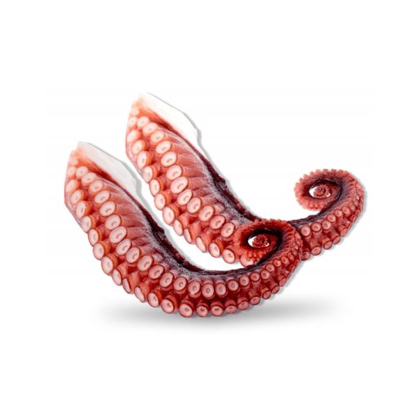 Rare Food Shop Octopus & Squid Boiled Octopus Tentacles 1Kg