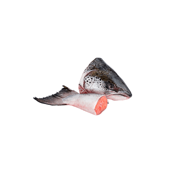 Rare Food Shop Fish Salmon Head And Tail (1Kg)